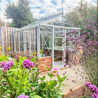 Robinsons Royale Dwarf Wall