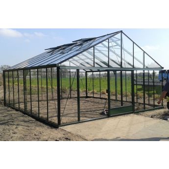 Gewächshaus Maxi Plus 604