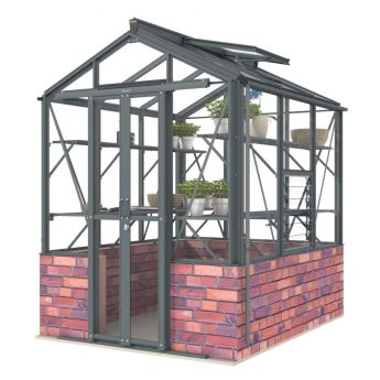 Robinsons Regatta Dwarf Wall